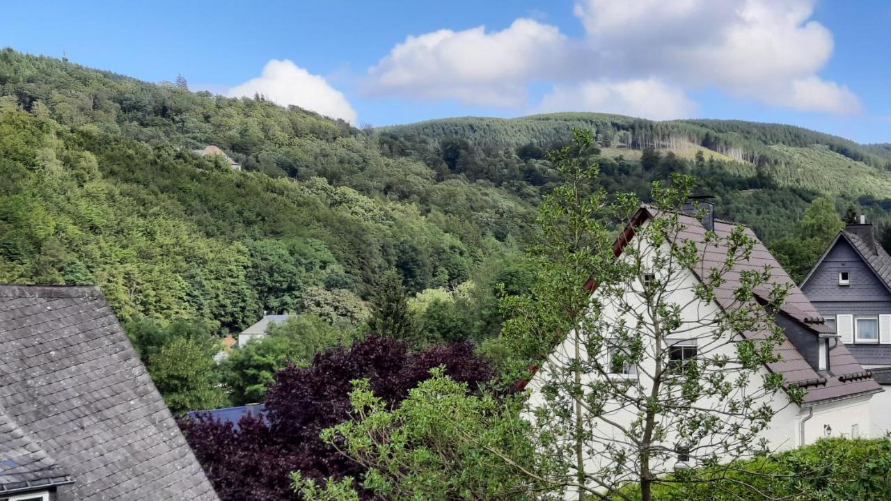 Yalet Ferienhaus 2 Appartementen Vlakbij Willingen Brilon-Wald 外观 照片